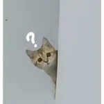 artist