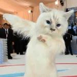 E
VOCÊ É
MUITO
LINDA