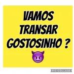 transar 