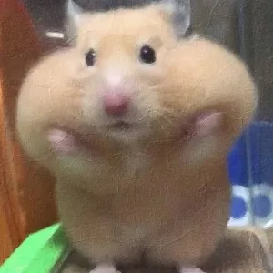 8q0mxr