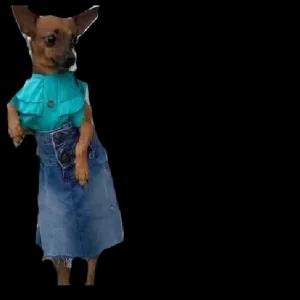 56eID1