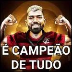 Flamengo Campeão 🏆