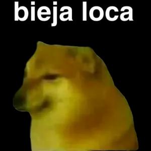 7SKBtz