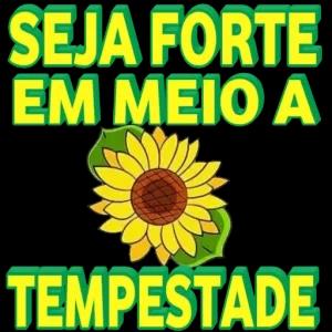 SEJA FORTE EM MEIO A TEMPESTADE - getsticker.com