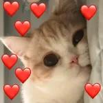 Snowball