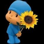 pocoyo