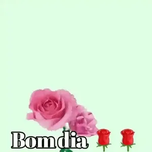 kdccSx