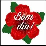 Bom dia 