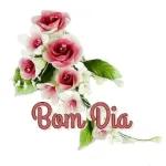 boom dia