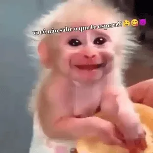 B3K5fi