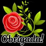 princesa