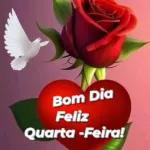 QUARTA-FEIRA