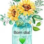 boom dia