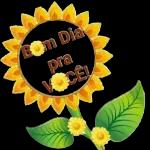 domingo