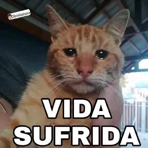 Dilminhasincera VIDA SUFRIDA - getsticker.com