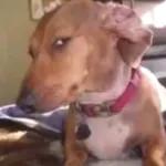 BORA... EU PAGO À TRÊS.