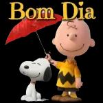 BOA TARDE