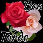 boa tarde