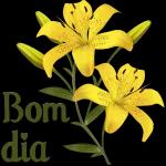 Bom dia flor