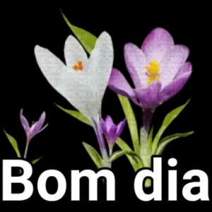 PICAYAICH HIOME HIC VIN PICN FER A10M PICMC FICMIX CMIZ PLAIX PICA PICI PICMA VIX PIOMIX FOMIXA EMPORIO PICMIX P Bom dia - getsticker.com