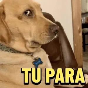 TU PARA - getsticker.com