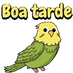 Boa noite com carinho