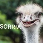 Eita... eita....eita