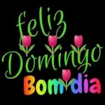 domingo 