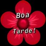 Boa Tarde! 