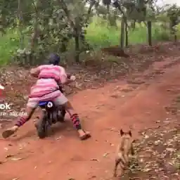la ele