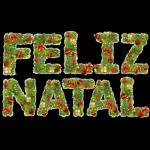 FELIZ NATAL!!!🥳