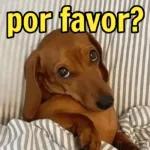 por favor, por favor