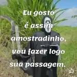amostradinho