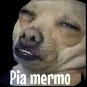 iVzYMz