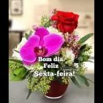 sexta-feira 