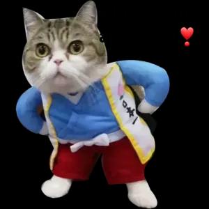 Olha quem apareceu 10本一  - getsticker.com