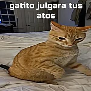 cVBjkX
