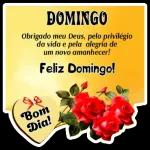 Bom dia!0/0 26