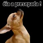pra um doido, outro doido!🤣