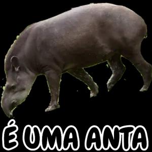 y8SsVA