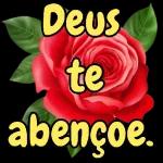 tudo de bom