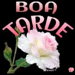 Flor pra você🌹