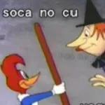 gays