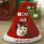 Cadê meu presente de Natal?