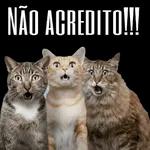  vo fingir
q acredito
વ