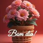 Bom Dia 