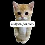 KIBOST