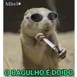animadas