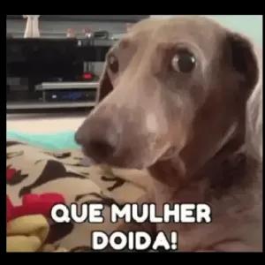 3OOcbN