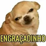 mimegmeledocura